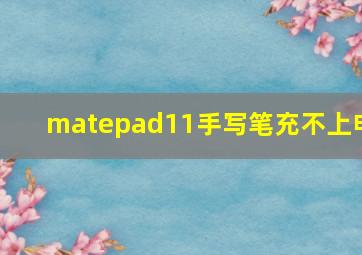 matepad11手写笔充不上电