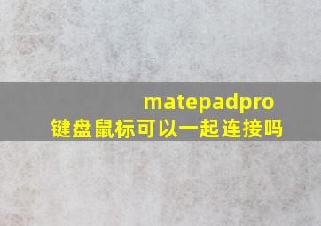 matepadpro键盘鼠标可以一起连接吗