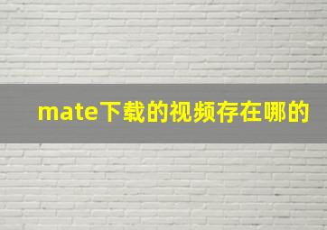 mate下载的视频存在哪的