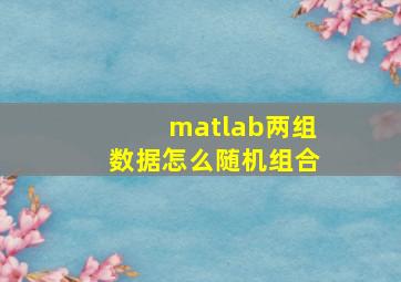 matlab两组数据怎么随机组合