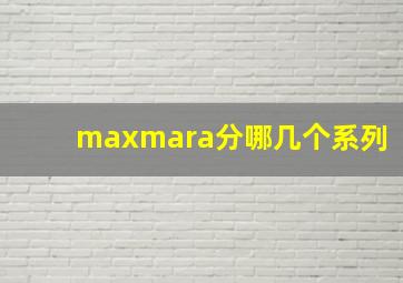 maxmara分哪几个系列