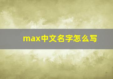 max中文名字怎么写