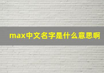 max中文名字是什么意思啊