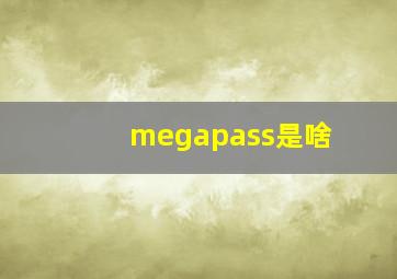 megapass是啥