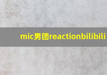 mic男团reactionbilibili