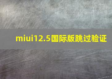 miui12.5国际版跳过验证