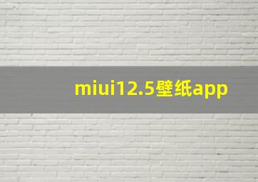 miui12.5壁纸app