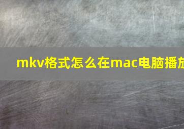 mkv格式怎么在mac电脑播放