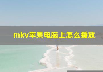 mkv苹果电脑上怎么播放