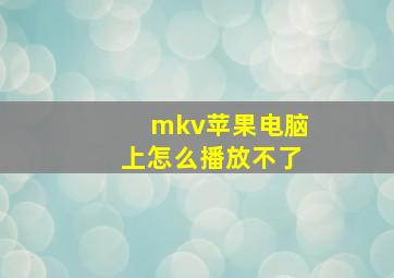 mkv苹果电脑上怎么播放不了