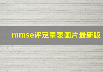 mmse评定量表图片最新版