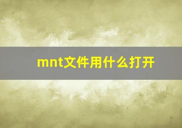 mnt文件用什么打开