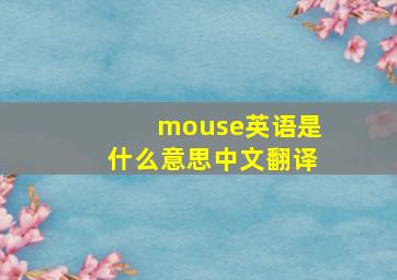 mouse英语是什么意思中文翻译