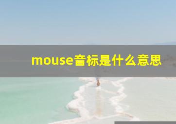 mouse音标是什么意思