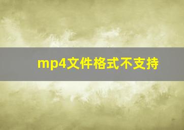 mp4文件格式不支持