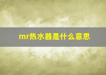 mr热水器是什么意思