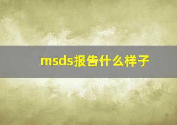 msds报告什么样子