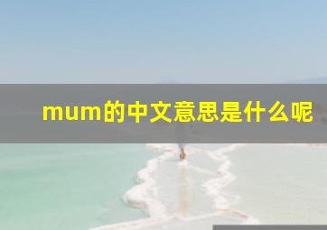 mum的中文意思是什么呢