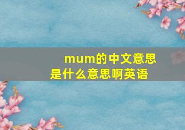 mum的中文意思是什么意思啊英语