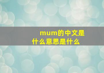 mum的中文是什么意思是什么