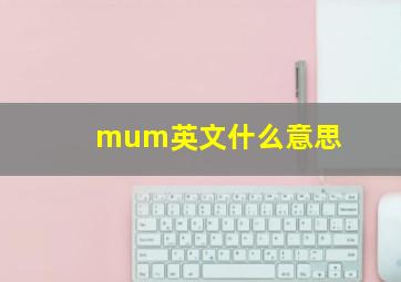 mum英文什么意思