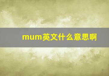 mum英文什么意思啊