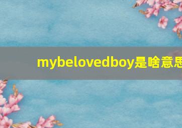 mybelovedboy是啥意思