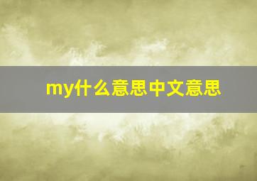 my什么意思中文意思