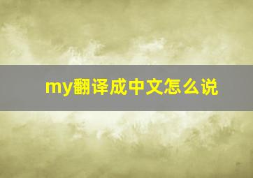 my翻译成中文怎么说