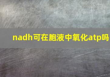 nadh可在胞液中氧化atp吗