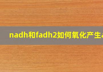 nadh和fadh2如何氧化产生atp