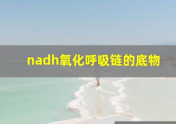 nadh氧化呼吸链的底物