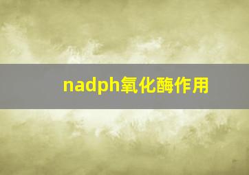 nadph氧化酶作用