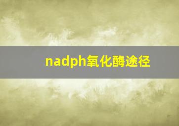 nadph氧化酶途径