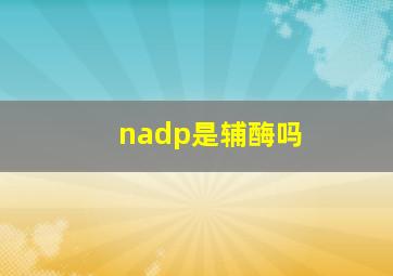 nadp是辅酶吗