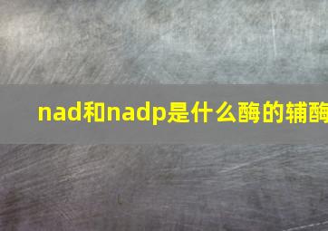 nad和nadp是什么酶的辅酶