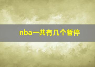 nba一共有几个暂停