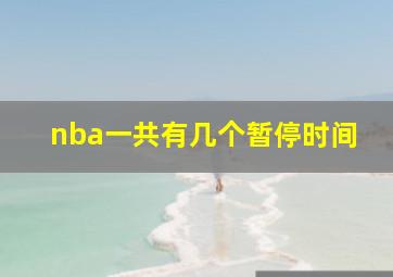 nba一共有几个暂停时间