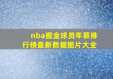 nba掘金球员年薪排行榜最新数据图片大全