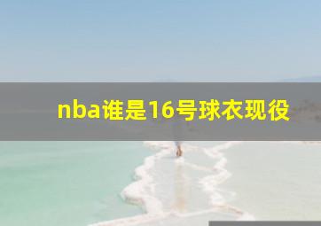 nba谁是16号球衣现役