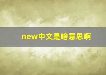 new中文是啥意思啊