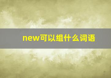 new可以组什么词语