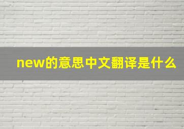 new的意思中文翻译是什么