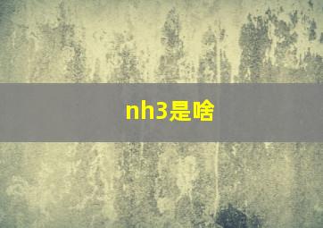 nh3是啥