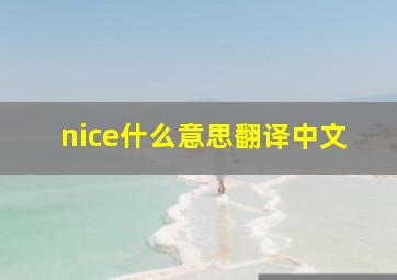 nice什么意思翻译中文