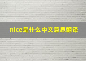 nice是什么中文意思翻译