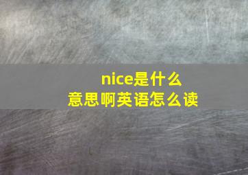 nice是什么意思啊英语怎么读