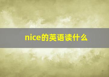 nice的英语读什么