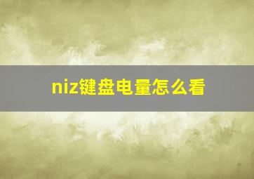 niz键盘电量怎么看