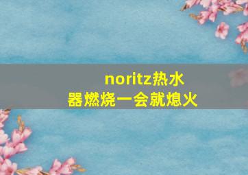 noritz热水器燃烧一会就熄火